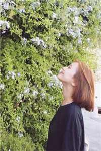 休夫娘子有点甜
