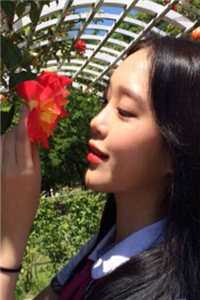 拂花疏月爱不归