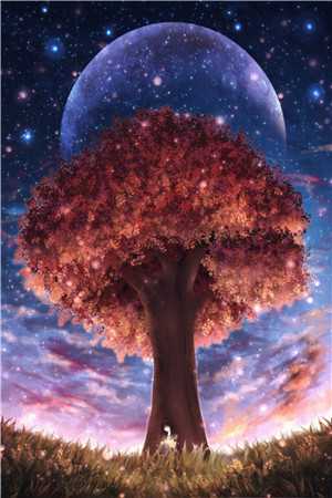 重生后，好孕女拒给太子当解药