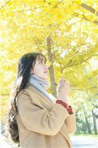 花落春泥又见你