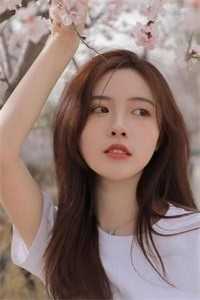 爱偷东西的婆婆
