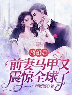 自请下堂的太子妃改嫁后太子悔疯了