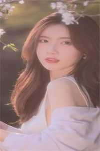 李二求我做官，可我只想当他女婿！