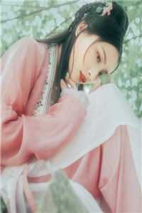 梨花落尽皆若尘