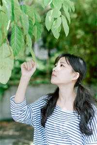 真假菟丝花