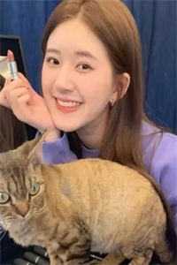 总裁爹地实力宠