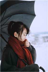 1993，漫长的盛夏