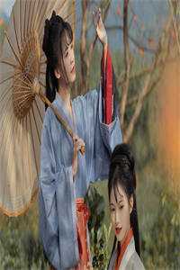 权力巅峰：从秘书开始问鼎